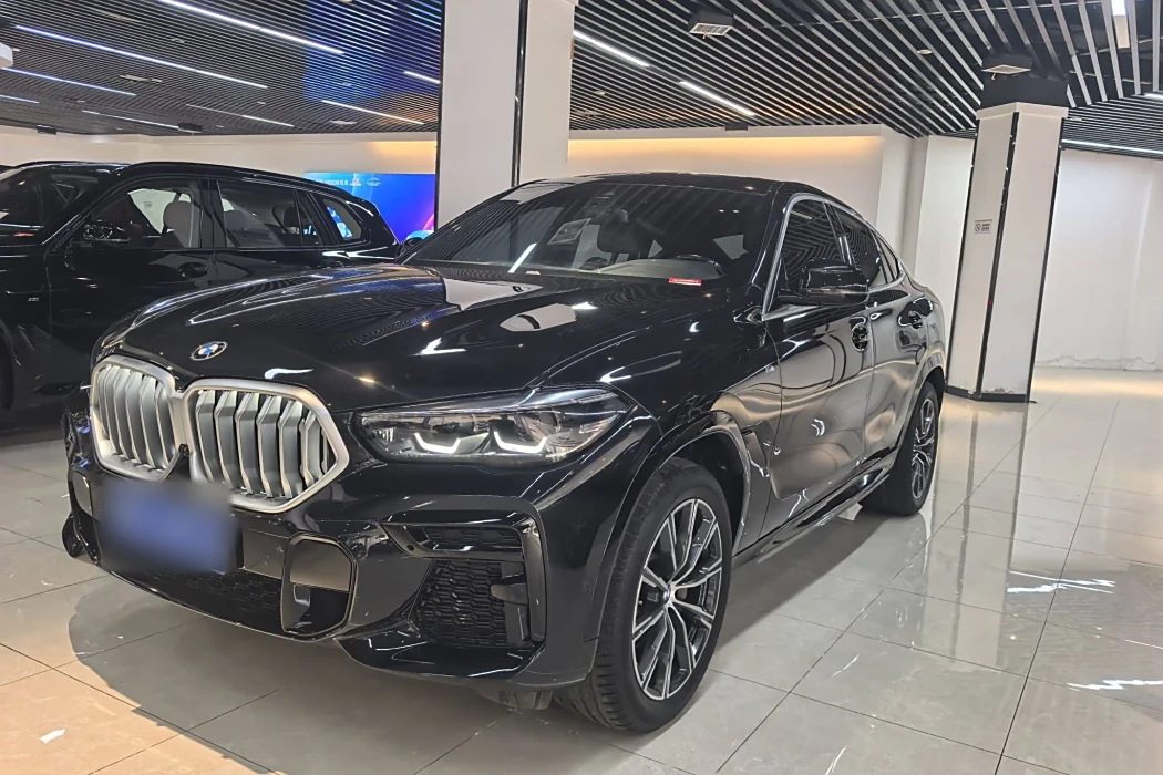 BMW X6 2022 xDrive30i M Sport Package