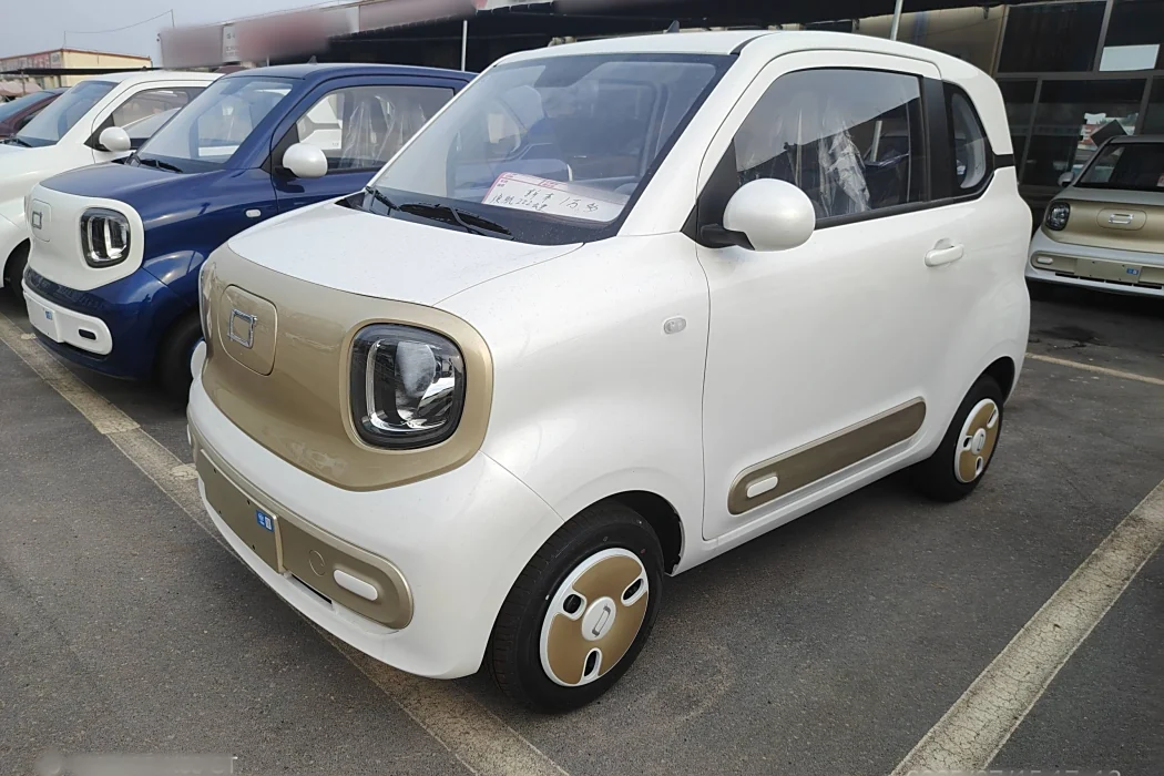 Pentium Pony 2025 222km Smart Horse