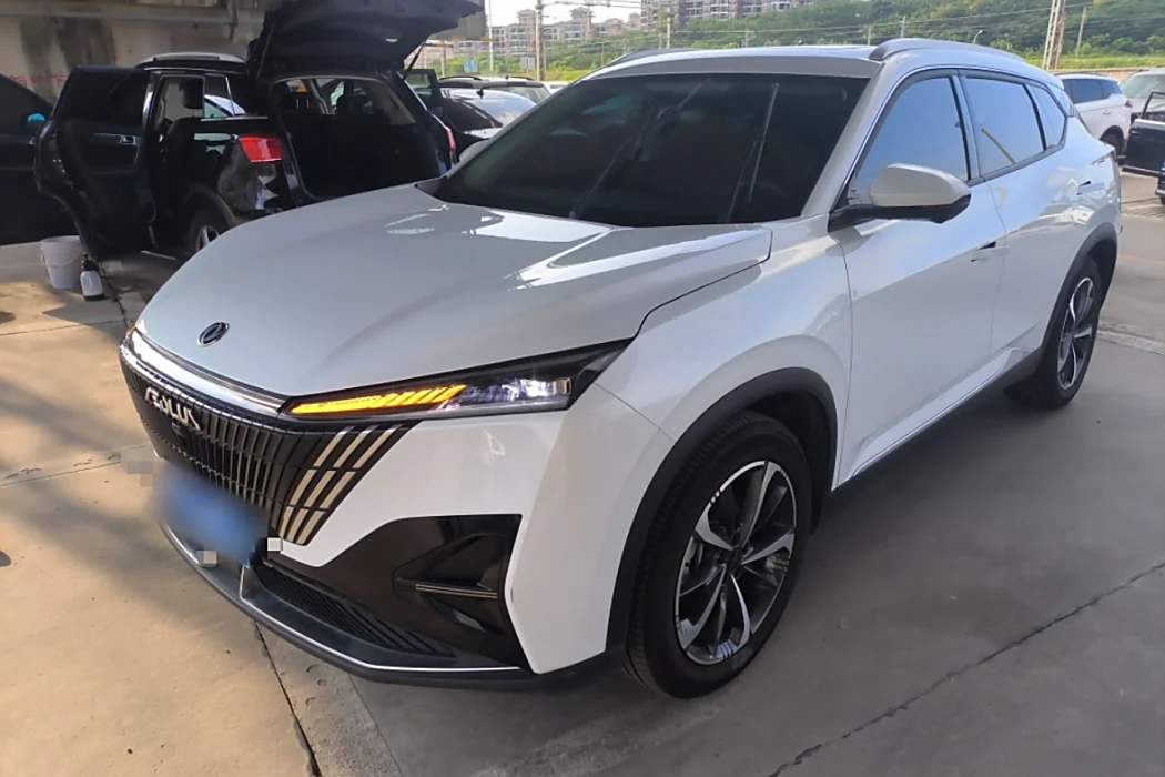 Dongfeng Fengshen Haohan 2024 Glory Edition 1.5T Luxury