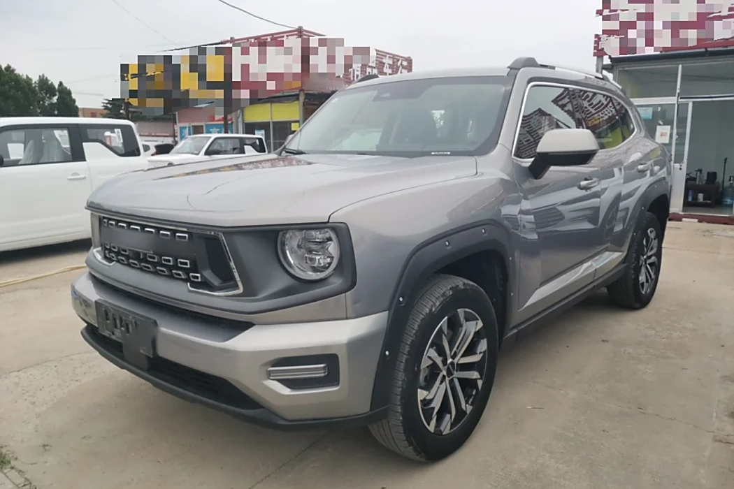 Havoc II Big Dog 2023 2.0T 2WD Tide Wild Plus