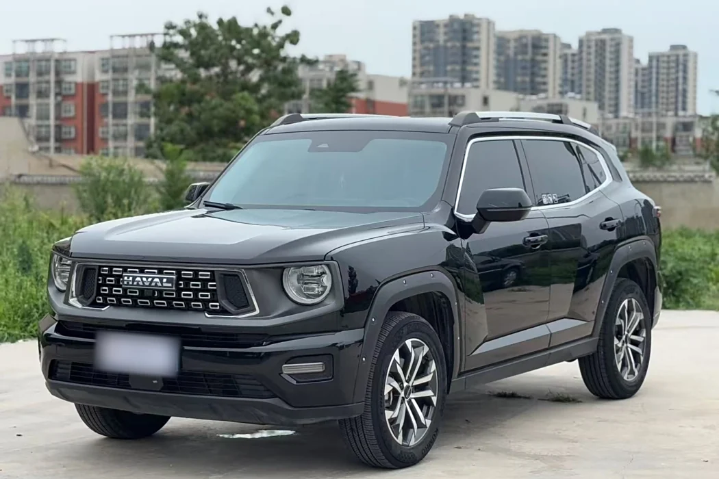 Havoc II Big Dog 2023 1.5T 2WD Tide Wild Plus