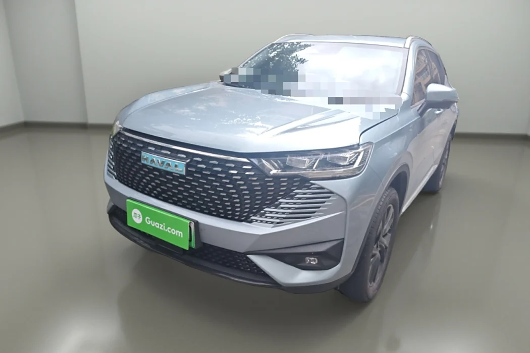 HAVER H6 NEW ENERGY 2023 DHT-PHEV 110KM LOVE VERSION
