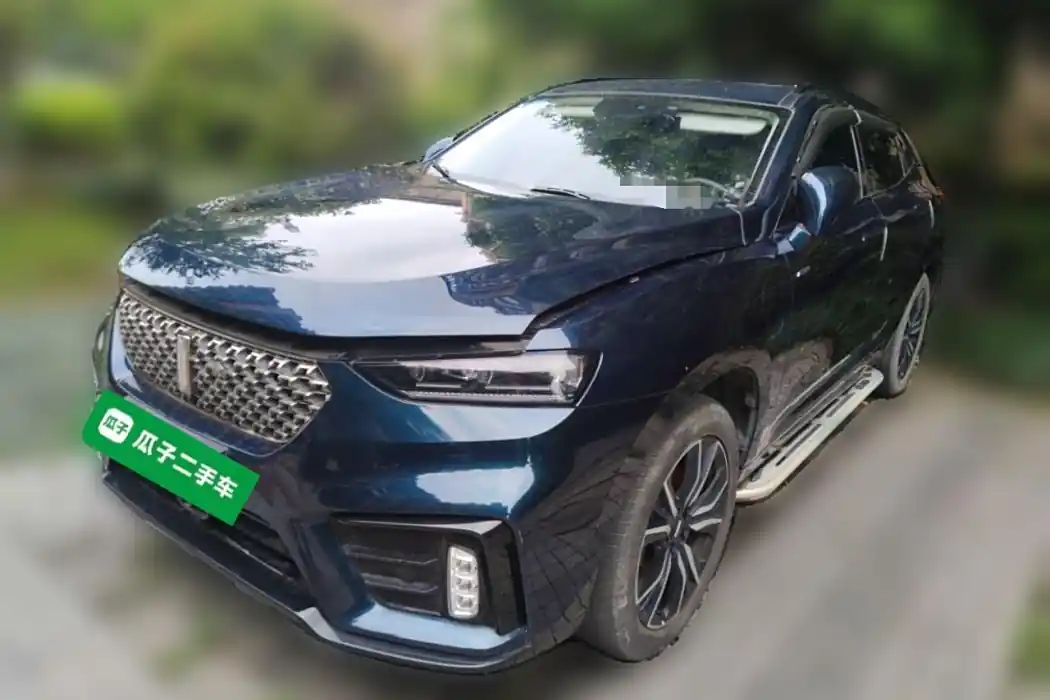 Wei brand VV7 New Energy 2020 PHEV 2.0 T luxury type