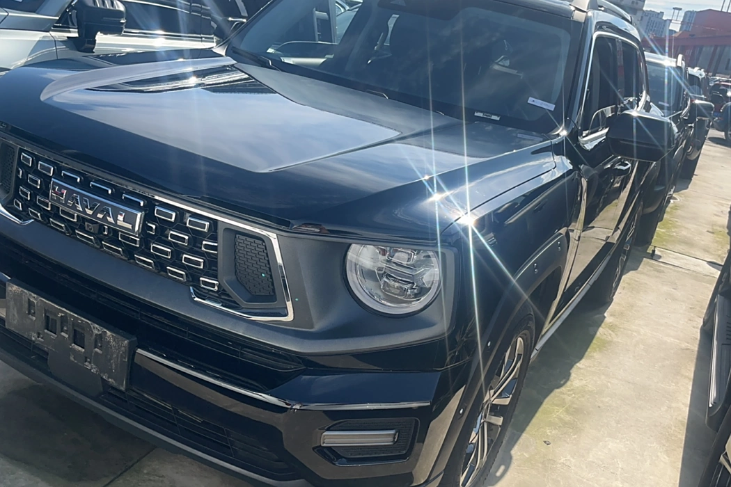 Havoc II Big Dog 2023 1.5T 2WD Tide Wild Plus
