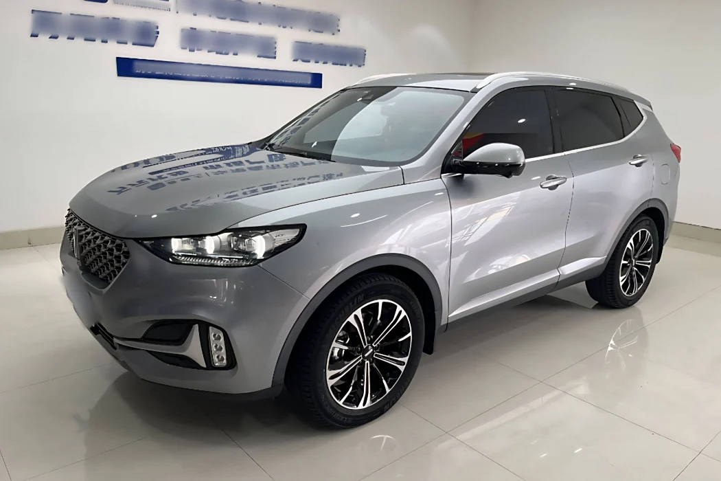 Wei brand VV6 2021 2.0T two-wheel drive smart protection+