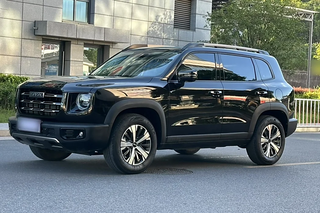 Havoc Big Dog 2021 1.5T DCT 2WD Labrador Edition