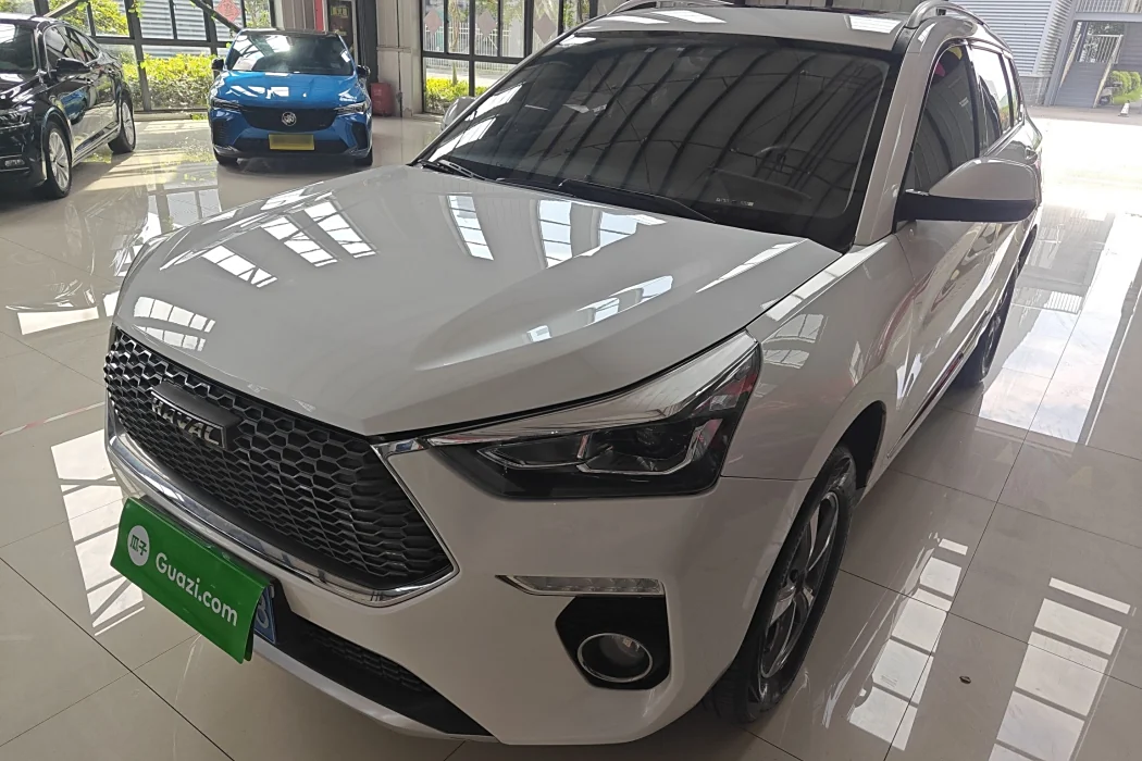 Haval H6 Coupe 2019 1.5T automatic two-wheel drive elite National V
