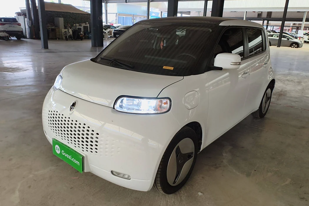 Euler White Cat 2020 360km Luxury Type