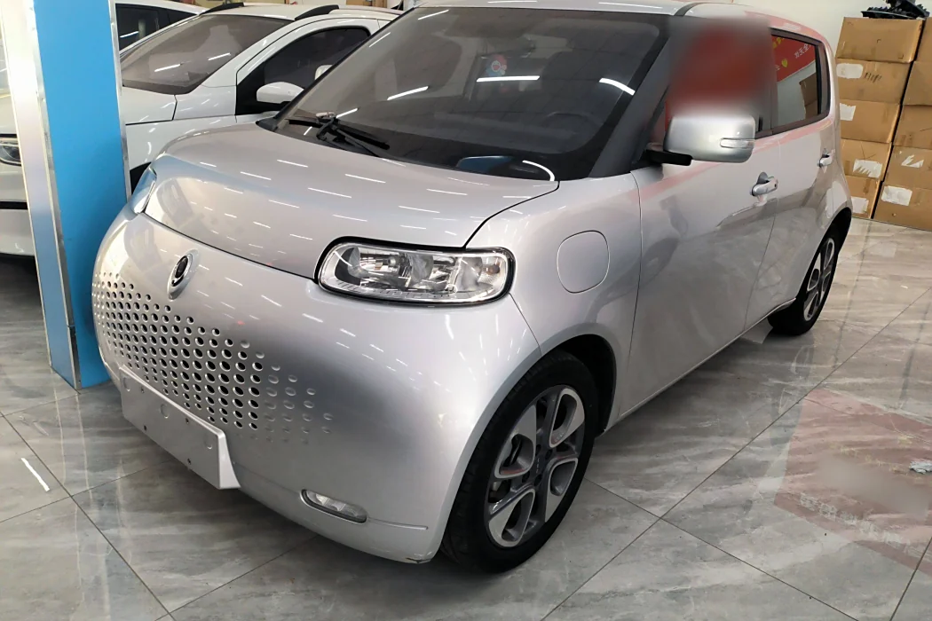 Euler White Cat 2020 Model 305km Luxury Type