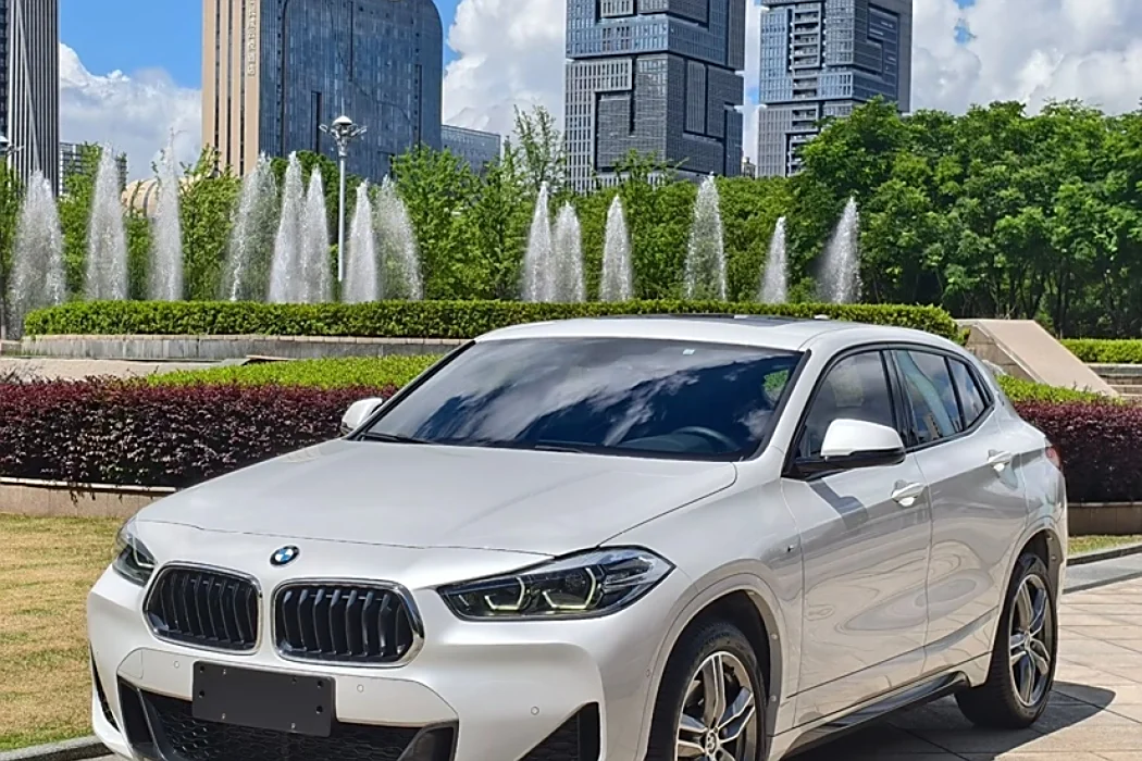 BMW X2 2020 sDrive25i Lead M Sport Package