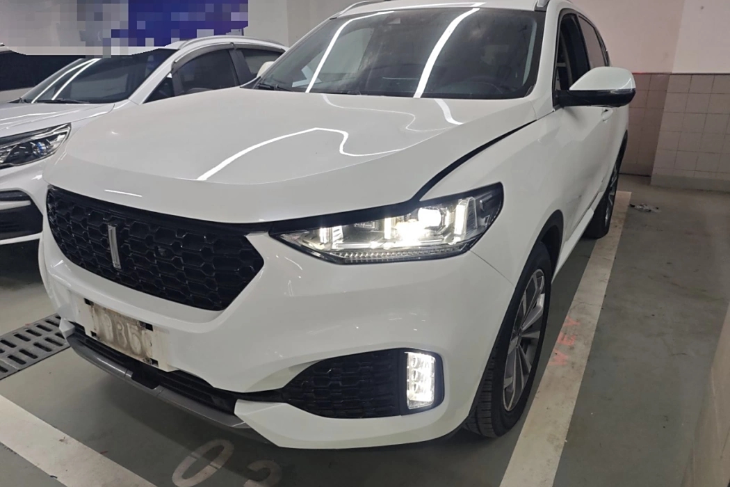 Wei brand VV6 2018 2.0T four-wheel drive flagship national V