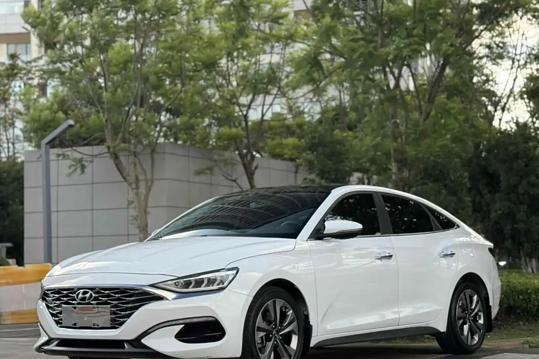 Hyundai Festa 2019 280TGDi sports version Country V