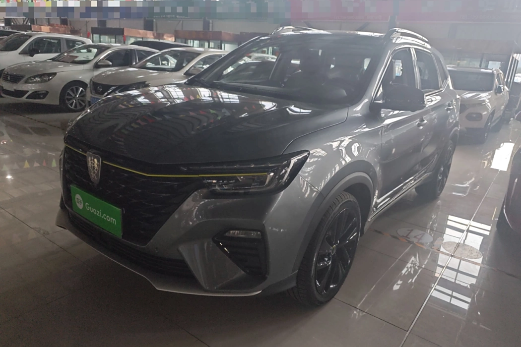 RX5 2020 PLUS 300TGI Auto Ali Guochao Ronglin Edition