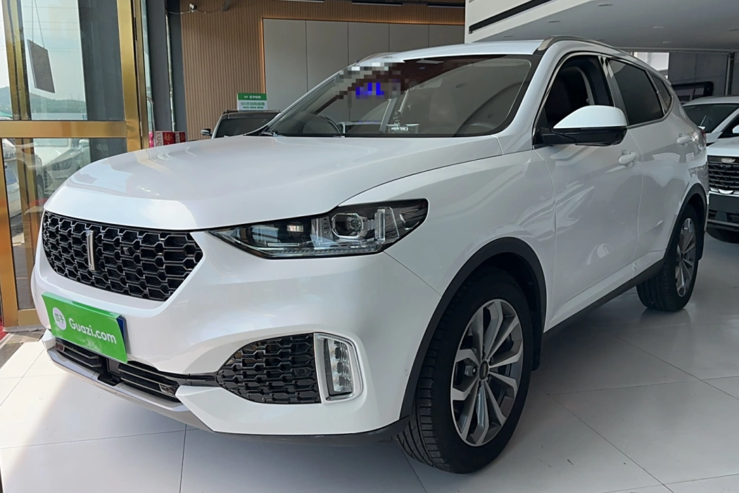 Wei brand VV6 2018 2.0T four-wheel drive flagship national V