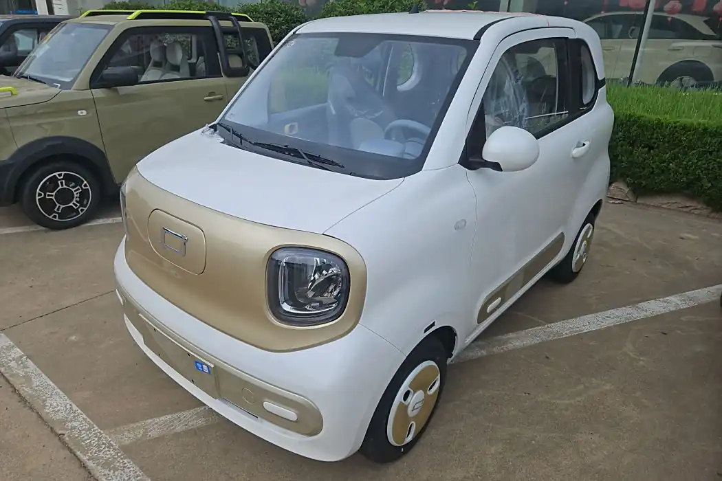 Pentium Pony 2025 222km Smart Horse