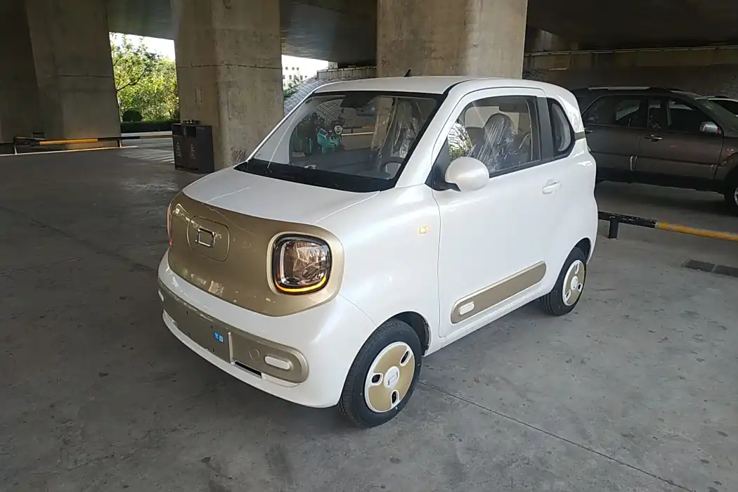 Pentium Pony 2025 222km Smart Horse