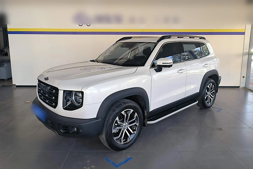 Havoc Big Dog 2021 1.5T DCT 2WD Border Ranch Edition