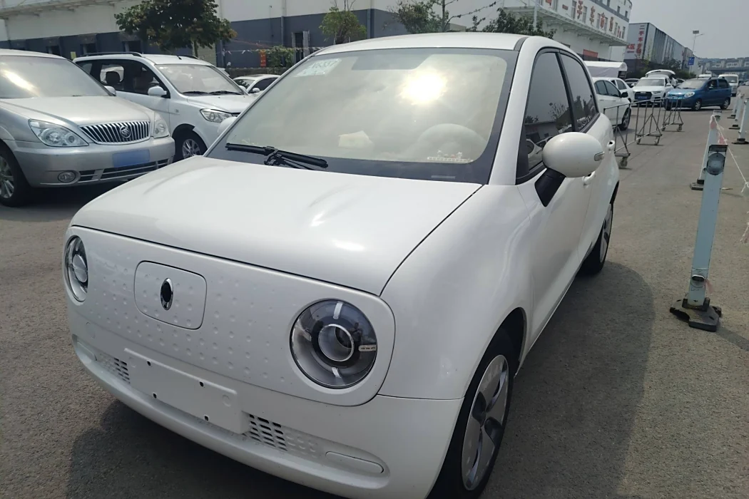 Euler Black Cat 2021 Model 301km Basic Type