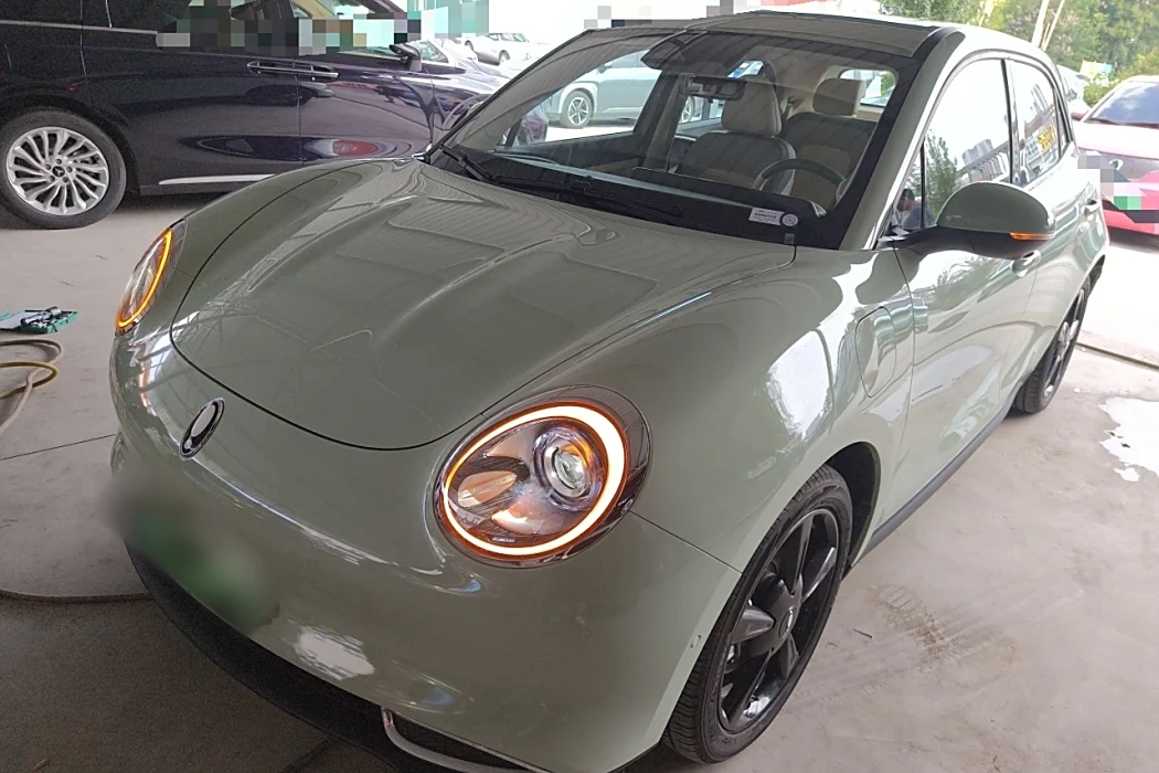 Euler Hermes 2024 model 401km Honor Type 135kW
