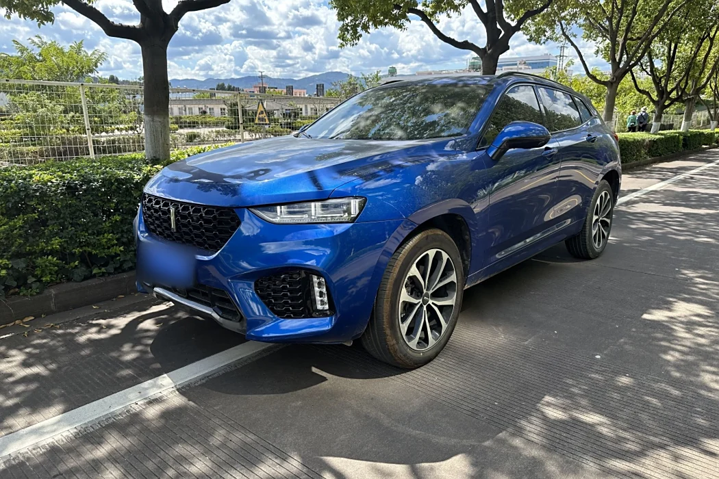 Wei brand VV7 2017 2.0T Super Luxury type