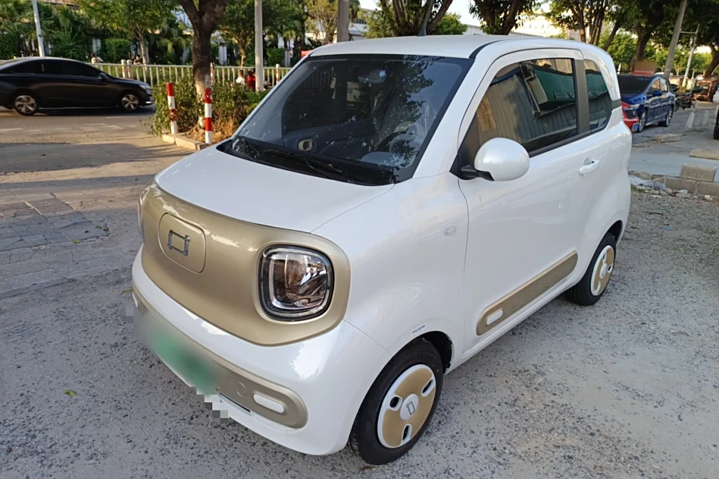 Pentium Pony 2025 222km Smart Horse