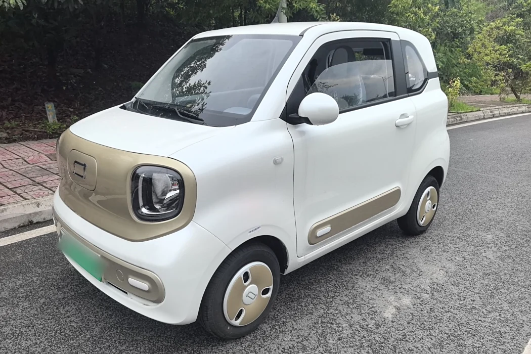 Pentium Pony 2025 222km Smart Horse