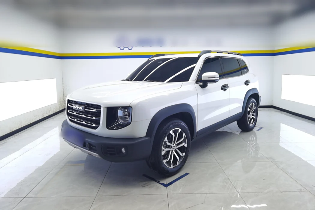Havoc Big Dog 2022 1.5T DCT 2WD Border Ranch Edition