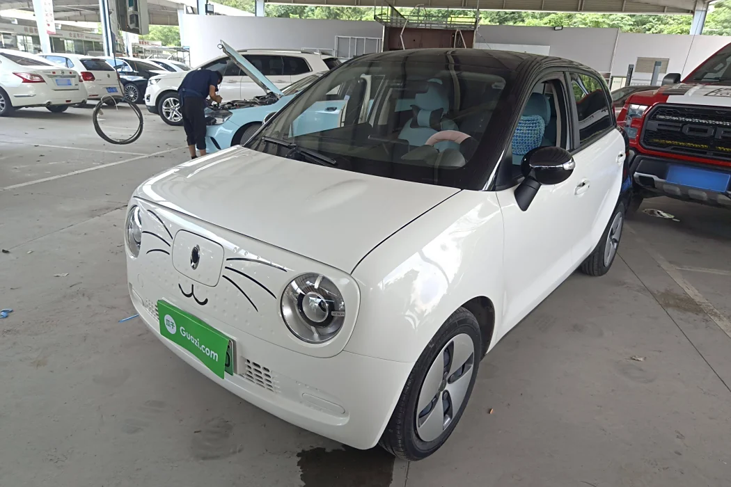 Euler Black Cat 2021 Model 301km Basic Type