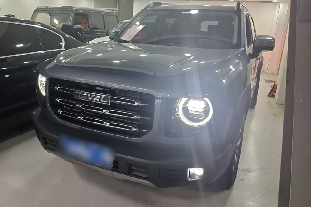 Havoc Big Dog 2021 1.5T DCT 2WD Labrador Edition