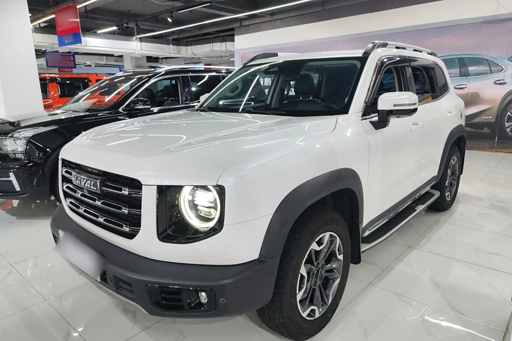 Havoc Big Dog 2021 2.0T DCT 4WD Chinese Garden Dog Edition