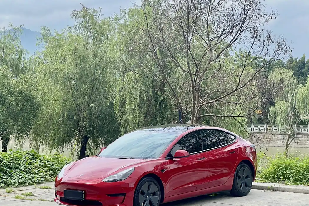 Tesla Model 3 2021 Standard Range Rear Drive Upgrade 3D6