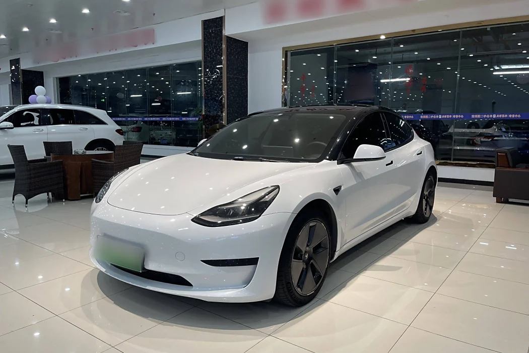 Tesla Model 3 2021 Standard Range Rear Drive Upgrade 3D6