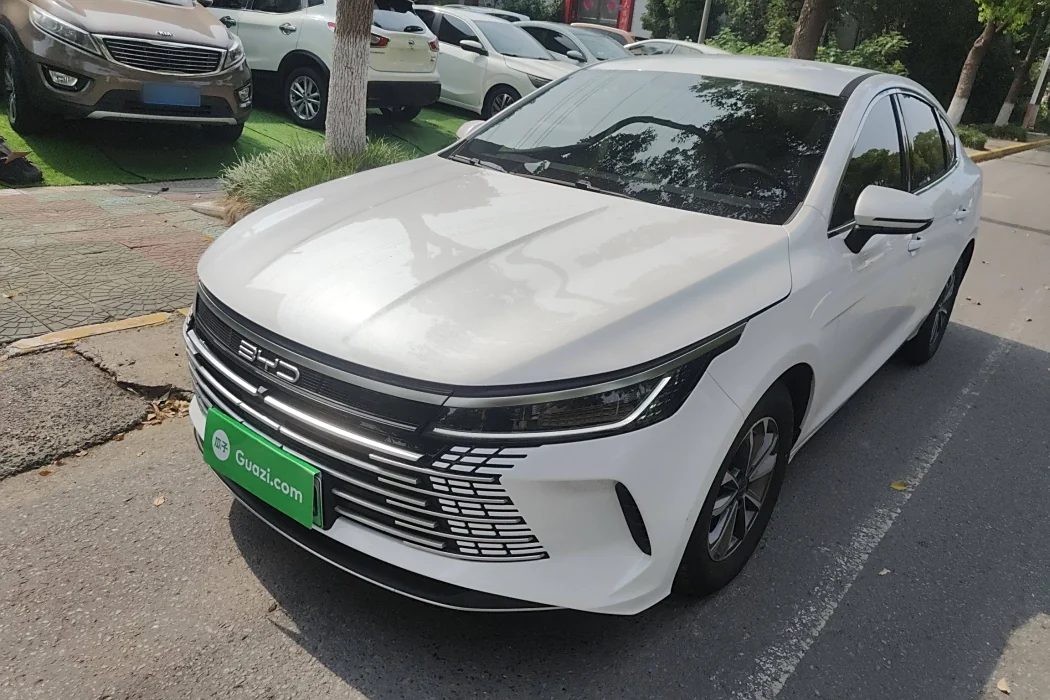 BYD Destroyer 05 2024 Glory Edition DM-i 55KM Luxury