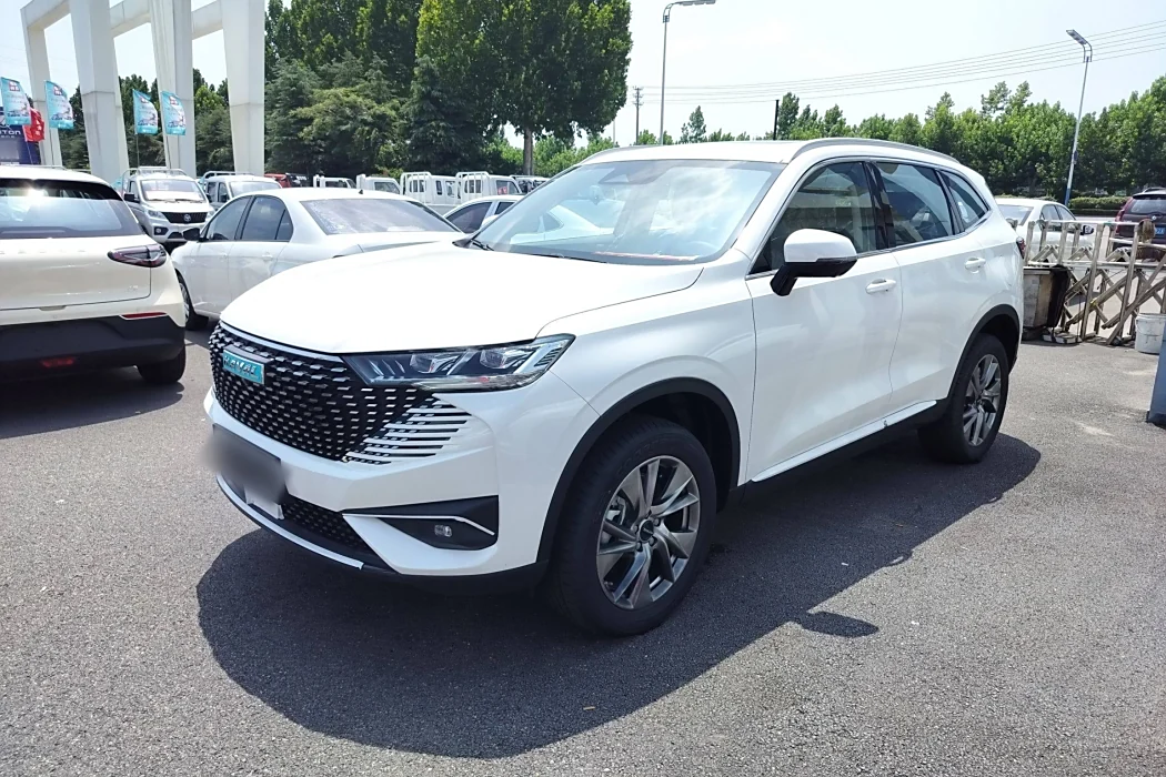HAVER H6 NEW ENERGY 2023 DHT-PHEV 110KM LOVE VERSION