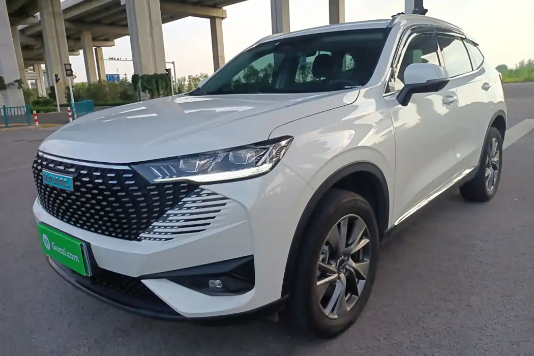 HAVER H6 NEW ENERGY 2023 DHT-PHEV 110KM Smooth Travel Edition