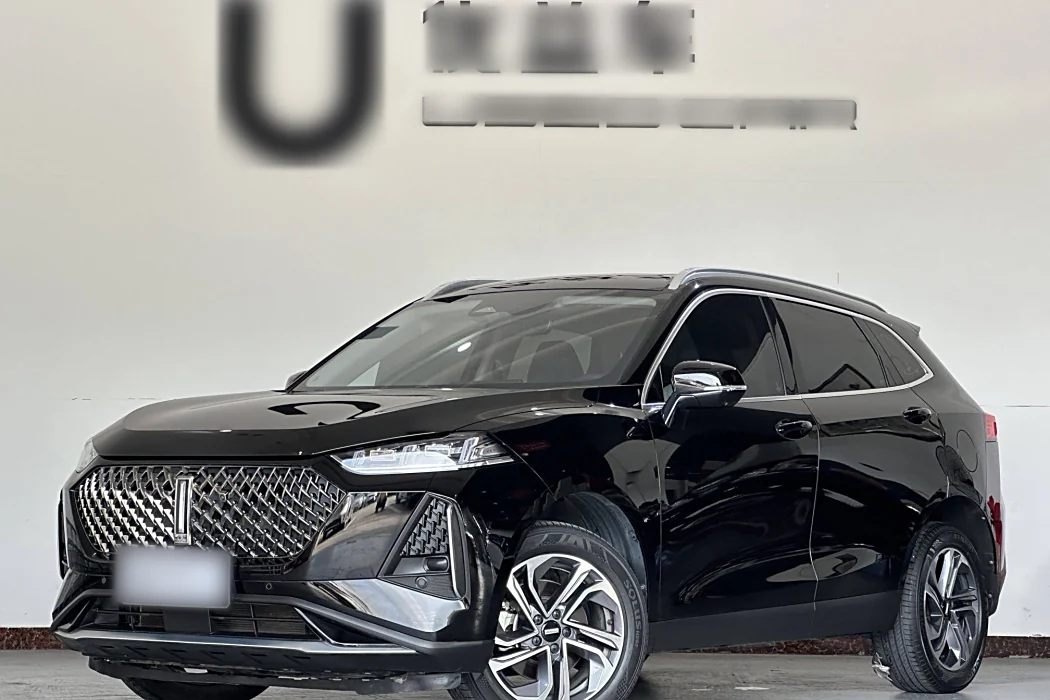 Wei Brand Macchiato 2021 1.5L DHT Special Edition