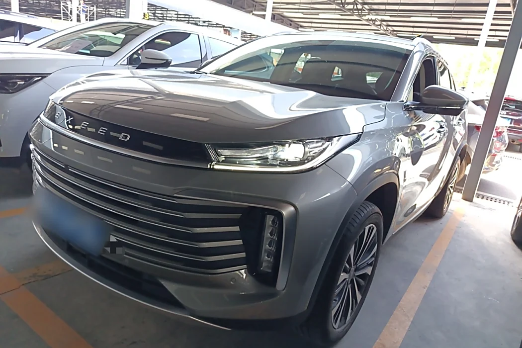 Xingtu Lingyun 2024 300T Two-wheel drive Xingyao Version