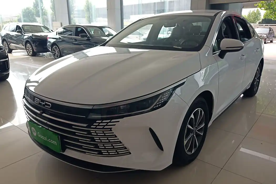 BYD Destroyer 05 2024 Glory Edition DM-i 55KM Luxury
