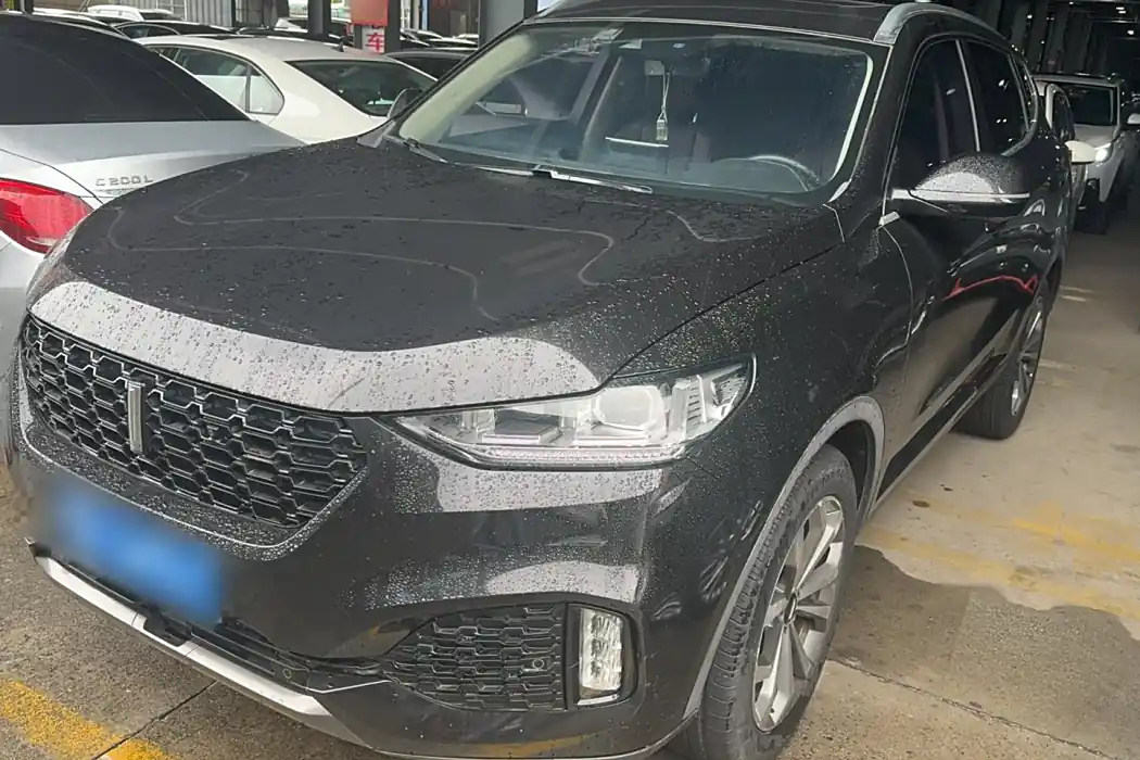Wei brand VV6 2018 2.0T two-wheel drive super luxury national V