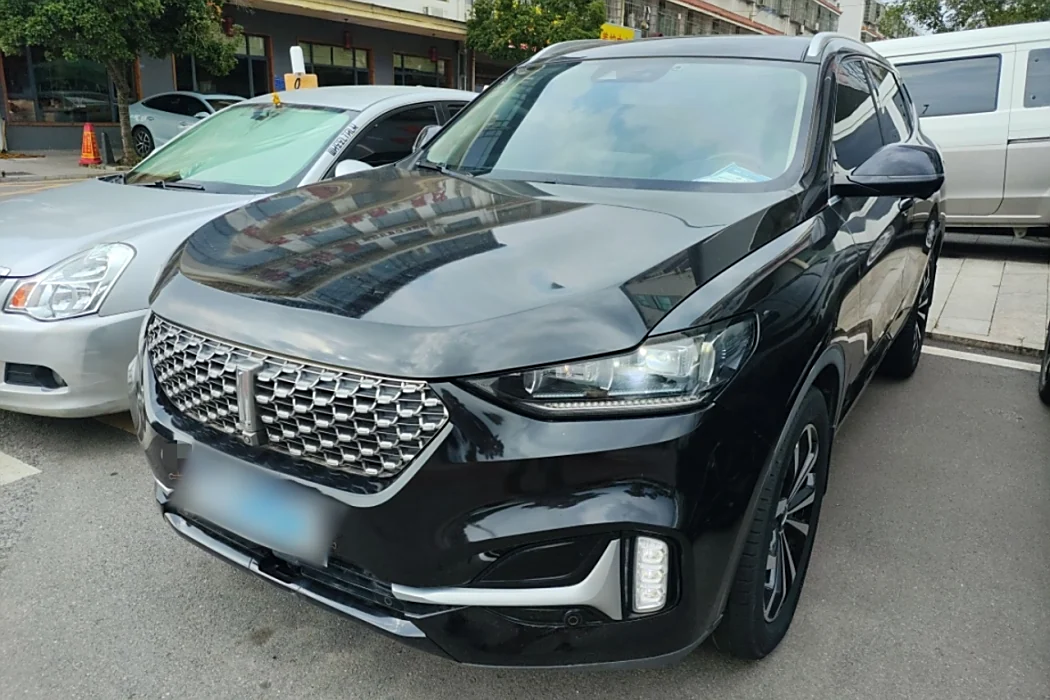 Wei brand VV6 2021 2.0T two-wheel drive smart protection+