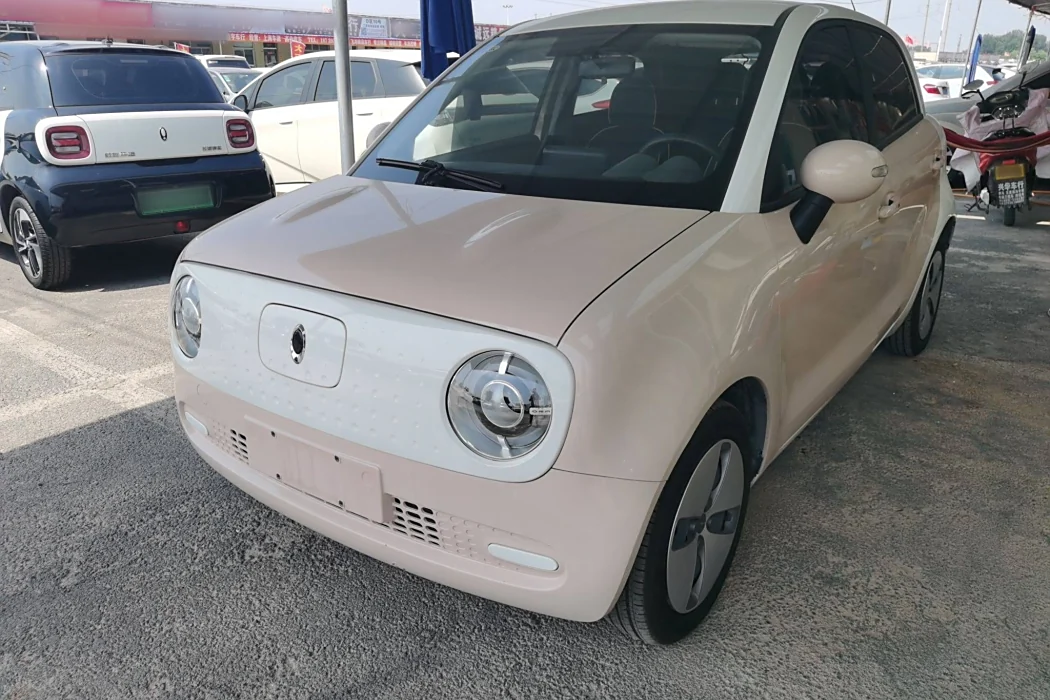 Euler Black Cat 2021 Model 301km Basic Type