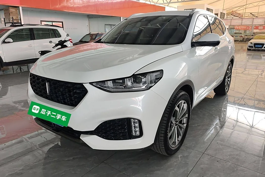 Wei brand VV6 2018 2.0T two-wheel drive super luxury national V