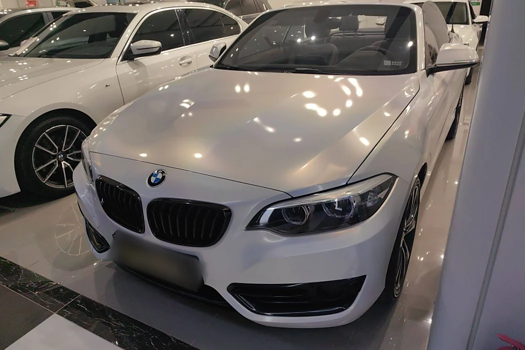BMW 2 Series (imported) 2019 225i convertible coupe sports design set