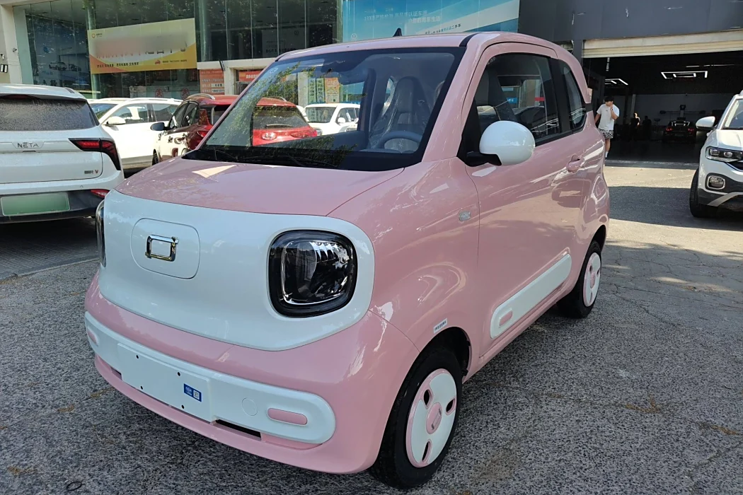 Pentium Pony 2025 222km Smart Horse