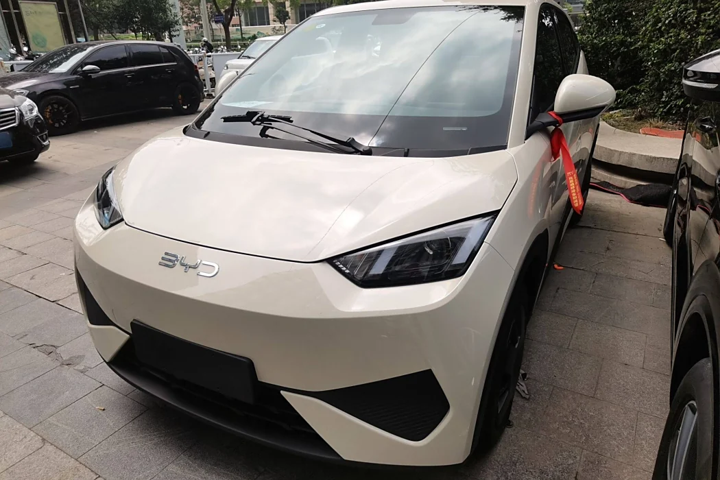 BYD Seagull 2025 Smart Driving Version 305km Vitality Version