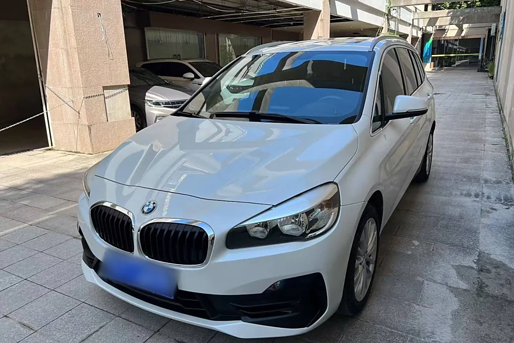 BMW 2 Series Utility Wagon 2019 220i Leader