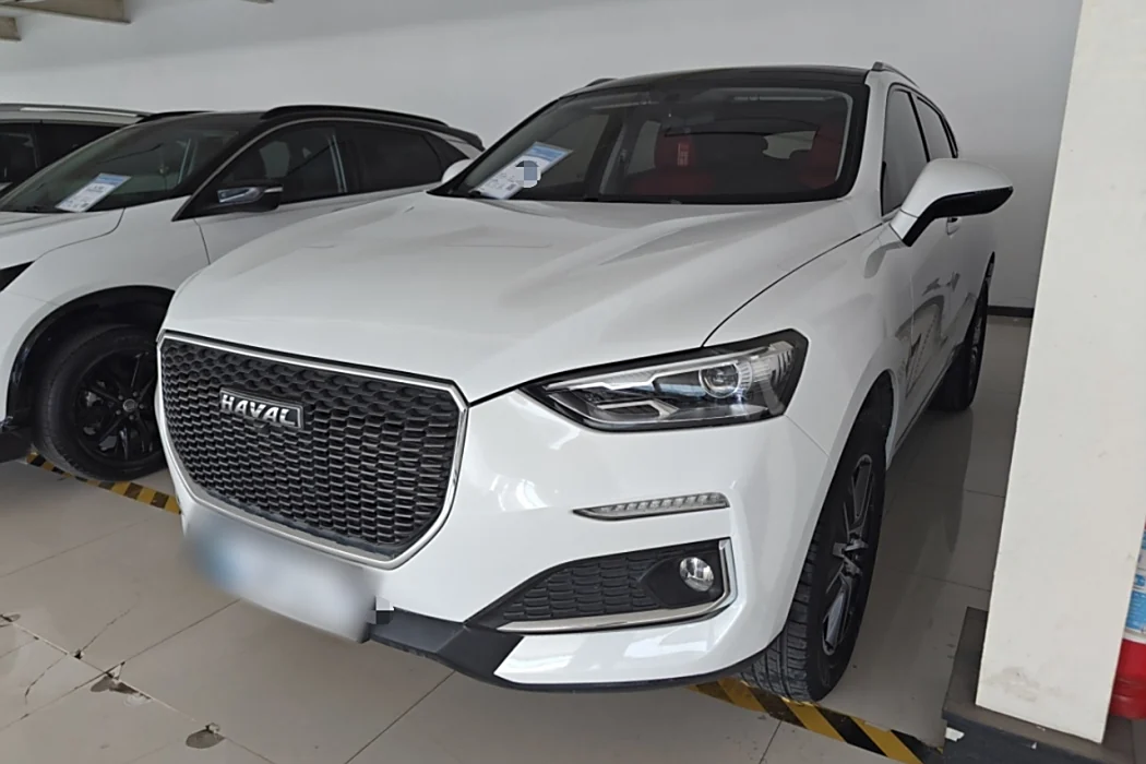 Haval F5 2019 National Tide Edition 1.5T i Type National VI