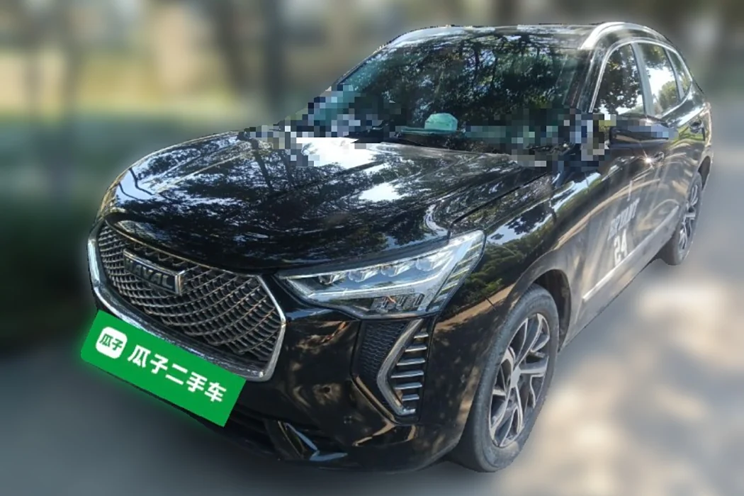 Harvard First Love 2021 1.5T Auto Big 4 Edition