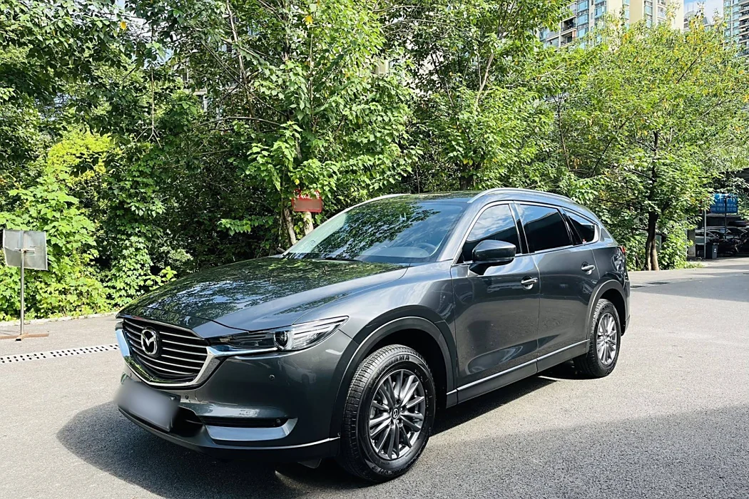 Mazda CX-8 2019 2.5L two-wheel drive luxury