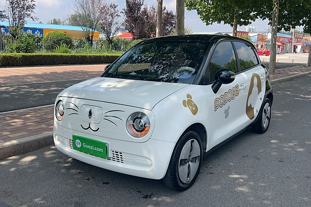 Euler Black Cat 2021 Model 301km Basic Type